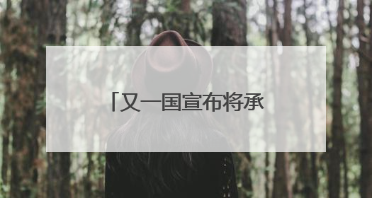 又一国宣布将承认巴勒斯坦国