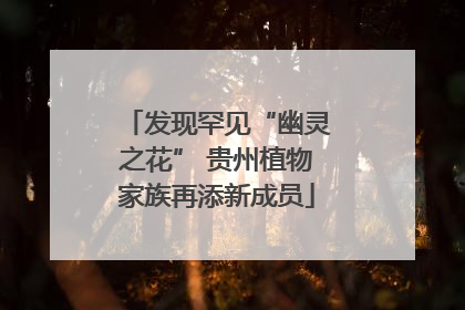 发现罕见“幽灵之花” 贵州植物家族再添新成员