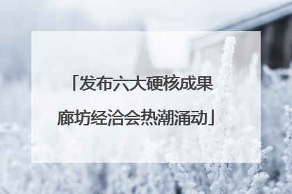 发布六大硬核成果 廊坊经洽会热潮涌动