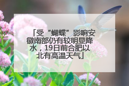 受“蝴蝶”影响安徽南部仍有较明显降水，19日前合肥以北有高温天气
