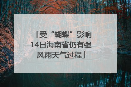 受“蝴蝶”影响 14日海南省仍有强风雨天气过程