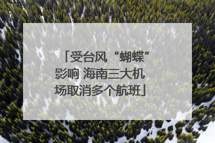 受台风“蝴蝶”影响 海南三大机场取消多个航班