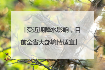 受近期降水影响，目前全省大部墒情适宜
