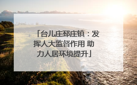 台儿庄邳庄镇：发挥人大监督作用 助力人居环境提升