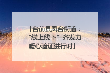 台前县凤台街道：“线上线下”齐发力 暖心验证进行时