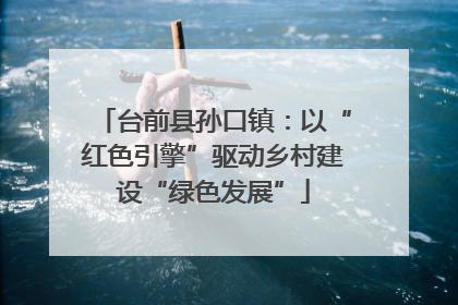 台前县孙口镇：以“红色引擎”驱动乡村建设“绿色发展”