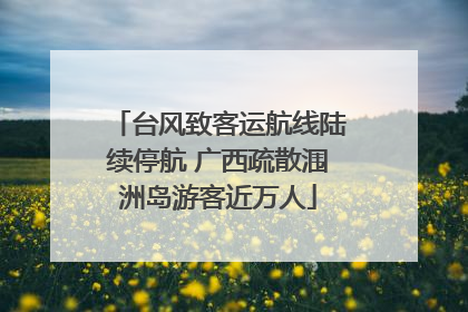 台风致客运航线陆续停航 广西疏散涠洲岛游客近万人