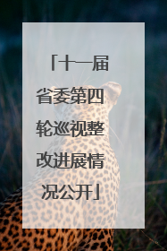 十一届省委第四轮巡视整改进展情况公开