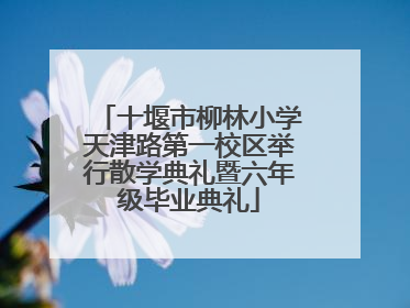 十堰市柳林小学天津路第一校区举行散学典礼暨六年级毕业典礼