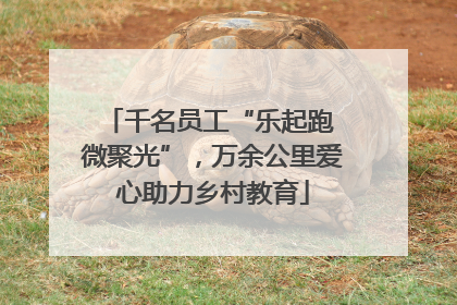 千名员工“乐起跑 微聚光”，万余公里爱心助力乡村教育
