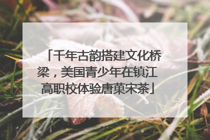 千年古韵搭建文化桥梁，美国青少年在镇江高职校体验唐菓宋茶