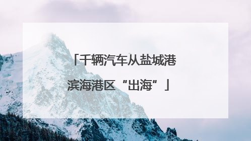 千辆汽车从盐城港滨海港区“出海”
