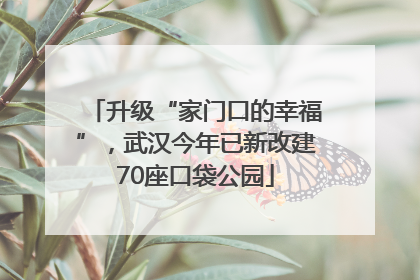 升级“家门口的幸福”，武汉今年已新改建70座口袋公园