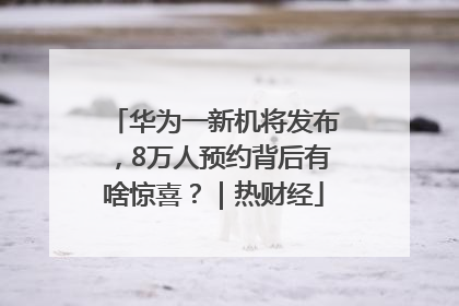 华为一新机将发布，8万人预约背后有啥惊喜？｜热财经