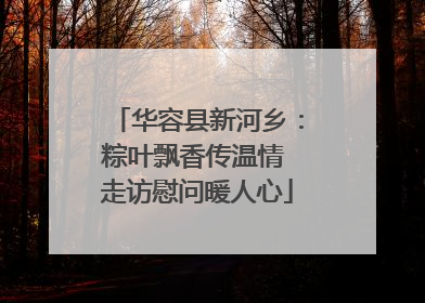 华容县新河乡：粽叶飘香传温情 走访慰问暖人心