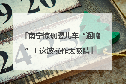 南宁惊现婴儿车“遛鸭”！这波操作太吸睛
