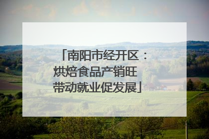 南阳市经开区：烘焙食品产销旺 带动就业促发展