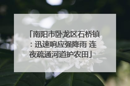 南阳市卧龙区石桥镇：迅速响应强降雨 连夜疏通河道护农田