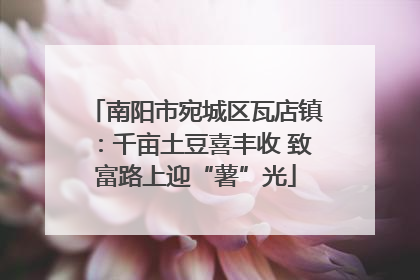 南阳市宛城区瓦店镇：千亩土豆喜丰收 致富路上迎“薯”光