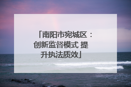 南阳市宛城区：创新监督模式 提升执法质效