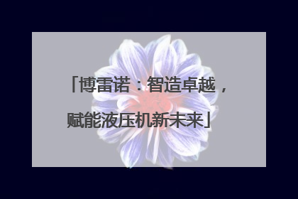 博雷诺：智造卓越，赋能液压机新未来