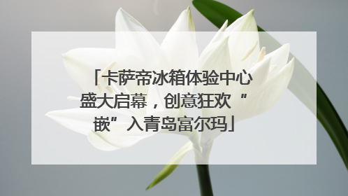 卡萨帝冰箱体验中心盛大启幕，创意狂欢“嵌”入青岛富尔玛