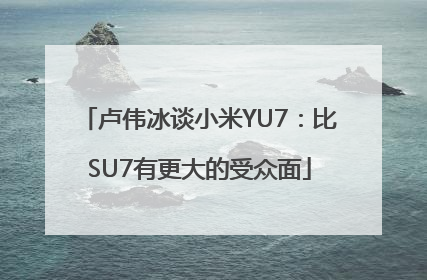 卢伟冰谈小米YU7：比SU7有更大的受众面