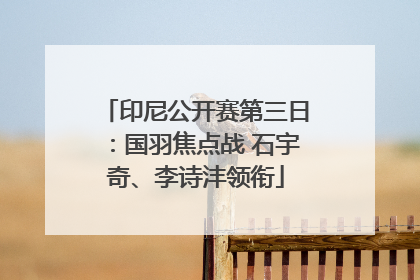 印尼公开赛第三日：国羽焦点战 石宇奇、李诗沣领衔