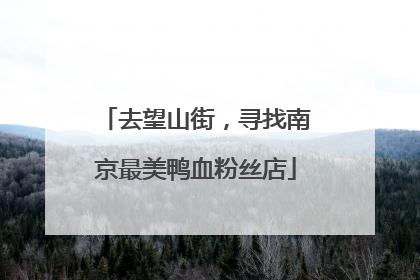 去望山街，寻找南京最美鸭血粉丝店