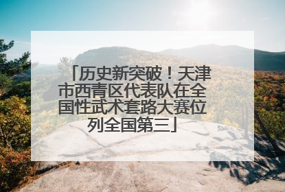 历史新突破！天津市西青区代表队在全国性武术套路大赛位列全国第三