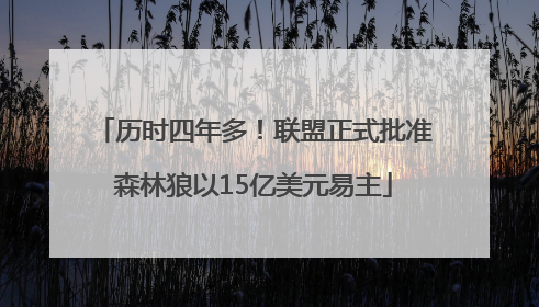 历时四年多！联盟正式批准森林狼以15亿美元易主