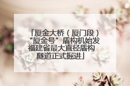 厦金大桥（厦门段）“厦金号”盾构机始发 福建省最大直径盾构隧道正式掘进