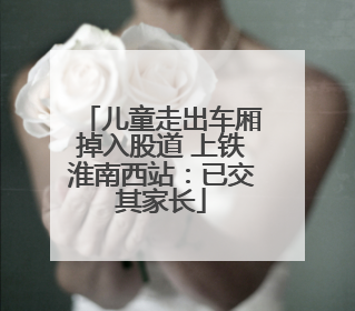 儿童走出车厢掉入股道 上铁淮南西站：已交其家长