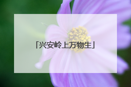 兴安岭上万物生