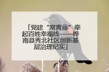 党建“常青藤”牵起百姓幸福线——桦南县秀北社区创新基层治理纪实