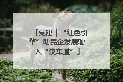 党建｜“红色引擎”助民企发展驶入“快车道”
