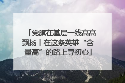 党旗在基层一线高高飘扬丨在这条英雄“含量高”的路上寻初心