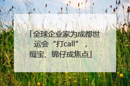 全球企业家为成都世运会“打call”，蜀宝、锦仔成焦点