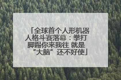 全球首个人形机器人格斗赛落幕：拳打脚踢你来我往 就是“大脑”还不好使
