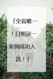 全省唯一！日照这一案例成功入选！