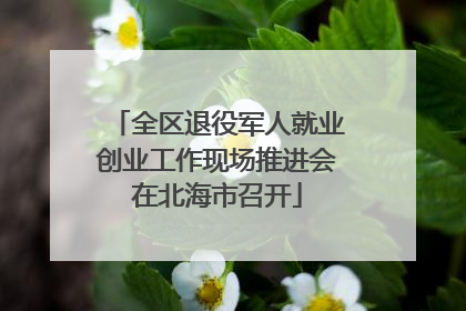全区退役军人就业创业工作现场推进会在北海市召开