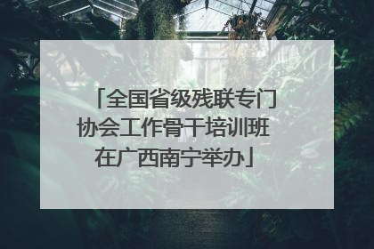 全国省级残联专门协会工作骨干培训班在广西南宁举办