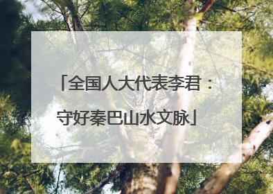 全国人大代表李君：守好秦巴山水文脉