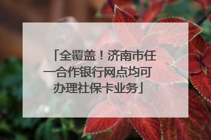 全覆盖！济南市任一合作银行网点均可办理社保卡业务