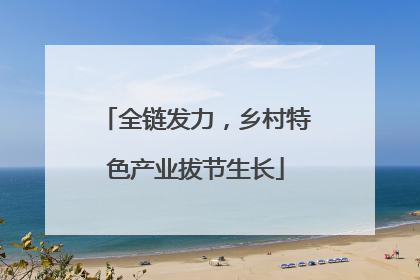全链发力，乡村特色产业拔节生长