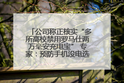 公司称正核实“多所高校禁用罗马仕两万毫安充电宝” 专家：预防手机没电选中等体积产品即可