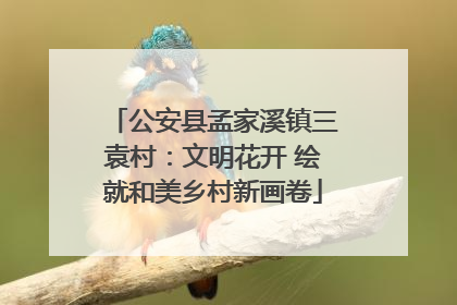 公安县孟家溪镇三袁村：文明花开 绘就和美乡村新画卷