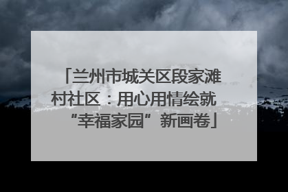 兰州市城关区段家滩村社区：用心用情绘就“幸福家园”新画卷