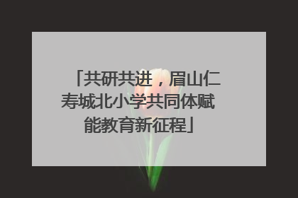 共研共进，眉山仁寿城北小学共同体赋能教育新征程