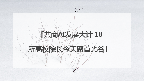 共商AI发展大计 18所高校院长今天聚首光谷